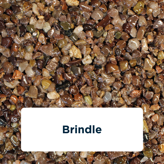 brindle-2