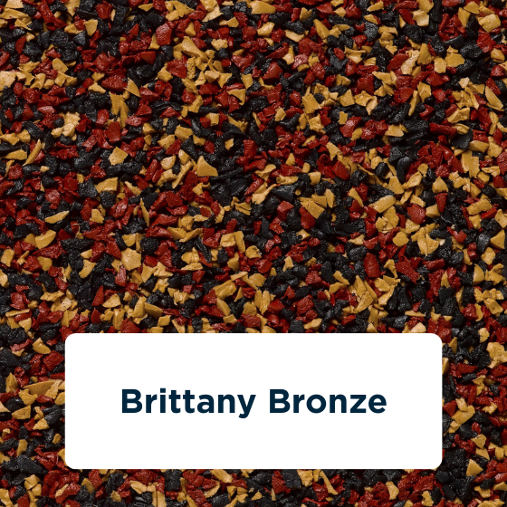 brittany-bronze