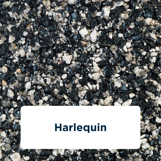 harlequin-2
