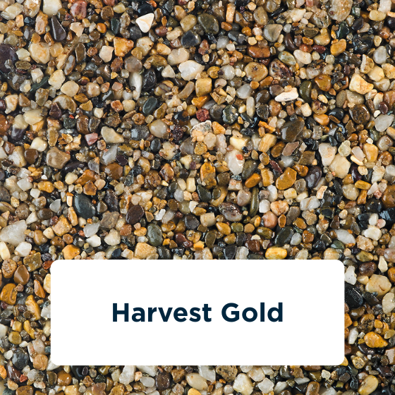 harvest-gold