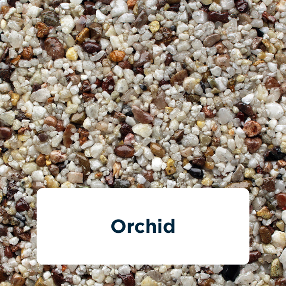 orchid