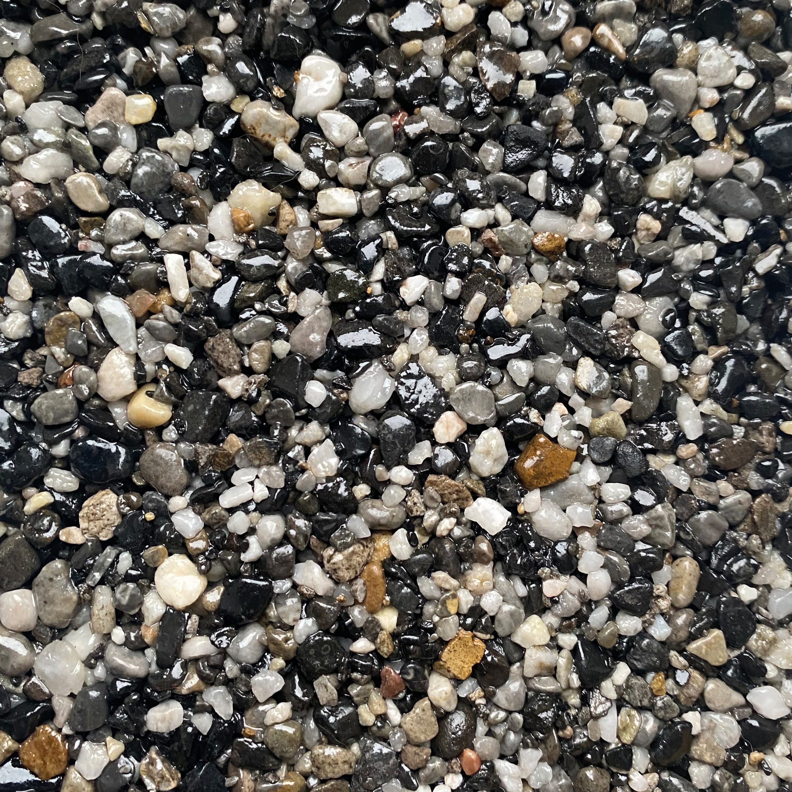 Ocean Pearl